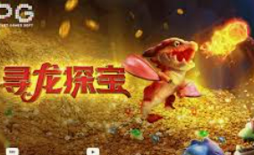 世界杯下单平台网站官网2024最新版